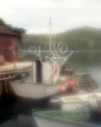 Butter Cove